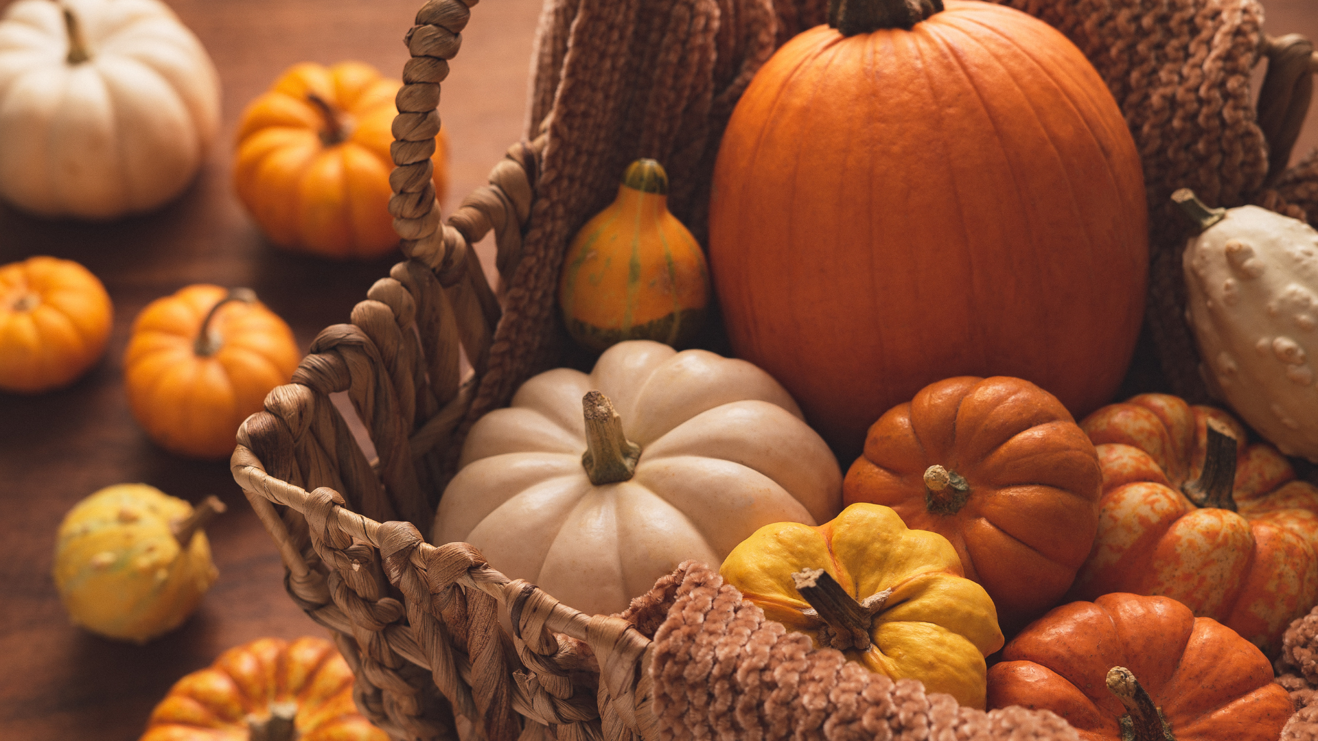 pumpkin_party.png