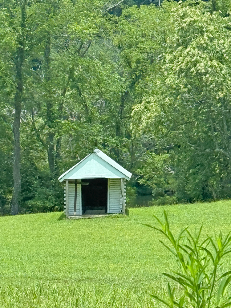 TinyChurch.jpg