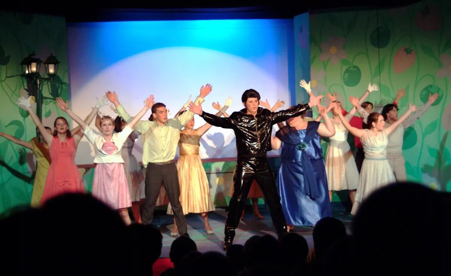 Theater: Bye, Bye Birdie